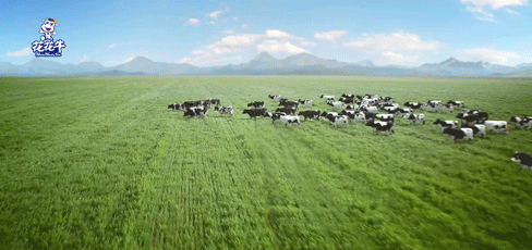 快訊 | 2020河南民營(yíng)企業(yè)100強(qiáng)發(fā)布 花花牛榮獲“河南民營(yíng)企業(yè)現(xiàn)代農(nóng)業(yè)100強(qiáng)”、“河南民營(yíng)企業(yè)社會(huì)責(zé)任100強(qiáng)”雙榮譽(yù)