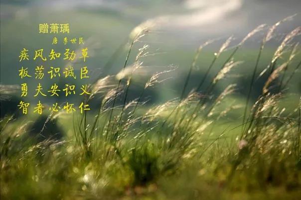 花花牛 | 疾風(fēng)來(lái)臨，你是不是勁草？