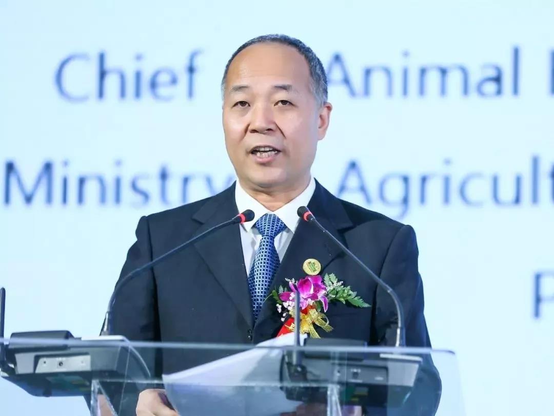 SDDDC走進(jìn)河南，看看花花牛的國際范兒！