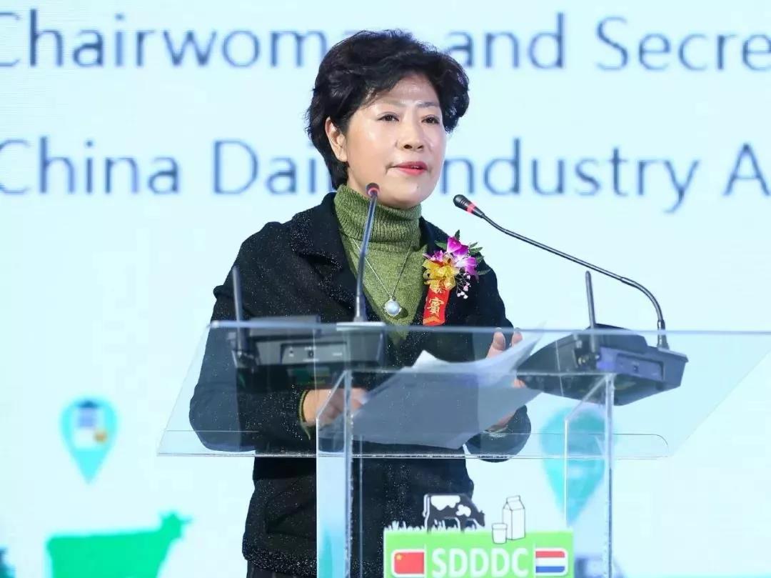 SDDDC走進(jìn)河南，看看花花牛的國際范兒！