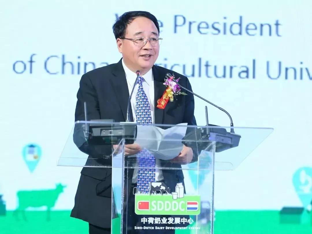 SDDDC走進(jìn)河南，看看花花牛的國際范兒！