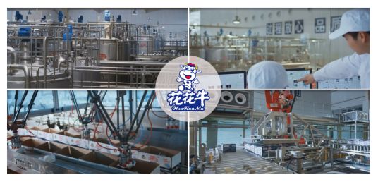 榮獲全國(guó)“質(zhì)量月”五項(xiàng)大獎(jiǎng)，花花牛真牛！