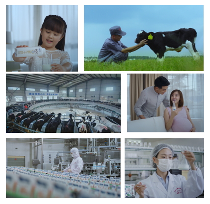 花花牛亮相中國奶業(yè)20強(qiáng)呼倫貝爾峰會，共話中國奶業(yè)振興！