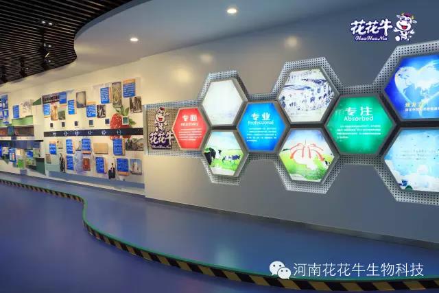 花花牛：務(wù)實、創(chuàng)新領(lǐng)潮市場 大企業(yè)體現(xiàn)大擔當