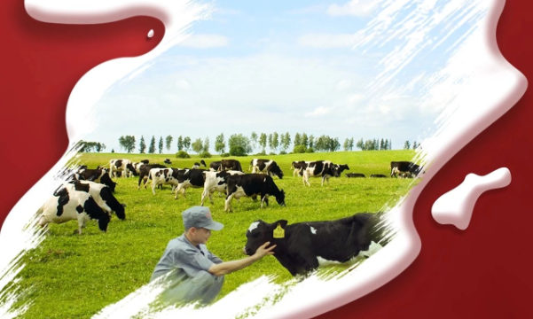 喜報！花花牛董事長關曉彥再獲”優(yōu) 秀企業(yè)家”稱號